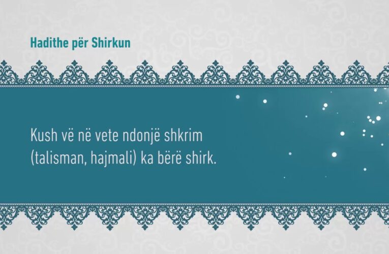 Shirku 297