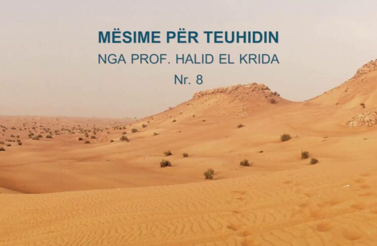 TEUHIDI Prof. Halid El Krida 08