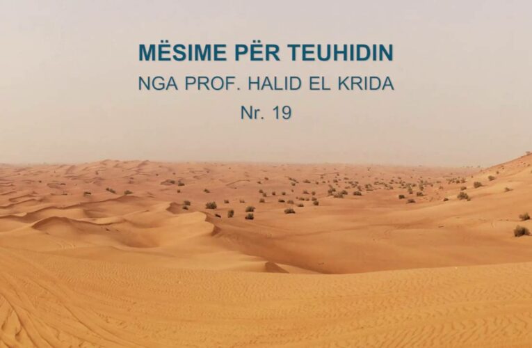 TEUHIDI 19 Prof. Halid El Krida