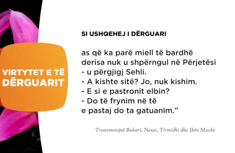 Si ushqehej i Derguari 116