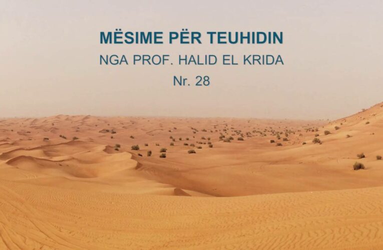 TEUHIDI 28 Prof. Halid El Krida
