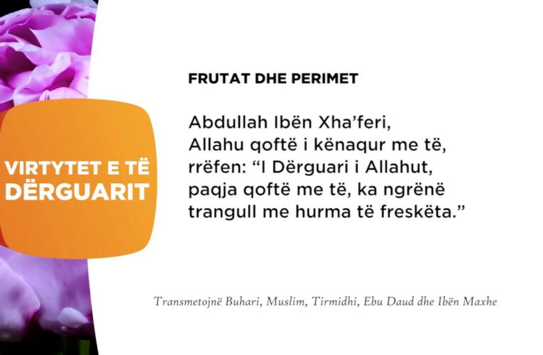 Frutat dhe perimet 159