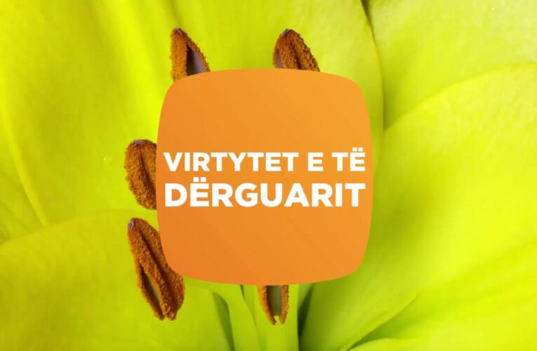 Kepucet e të Dërguarit 57