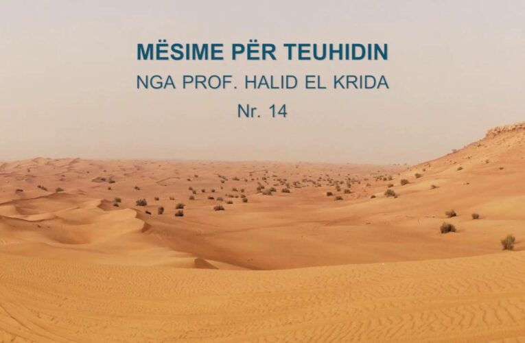 TEUHIDI 14 Prof. Halid El Krida