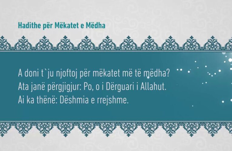 Mekatet e medha 314