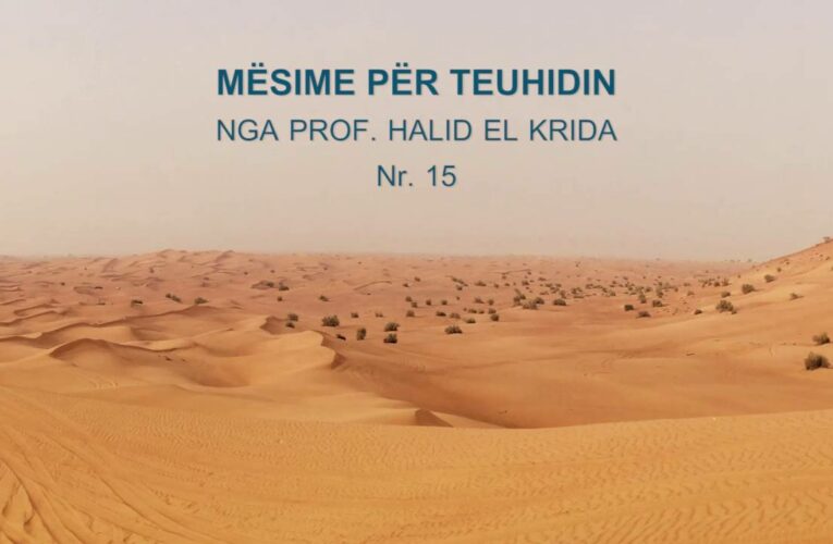 TEUHIDI 15 Prof. Halid El Krida