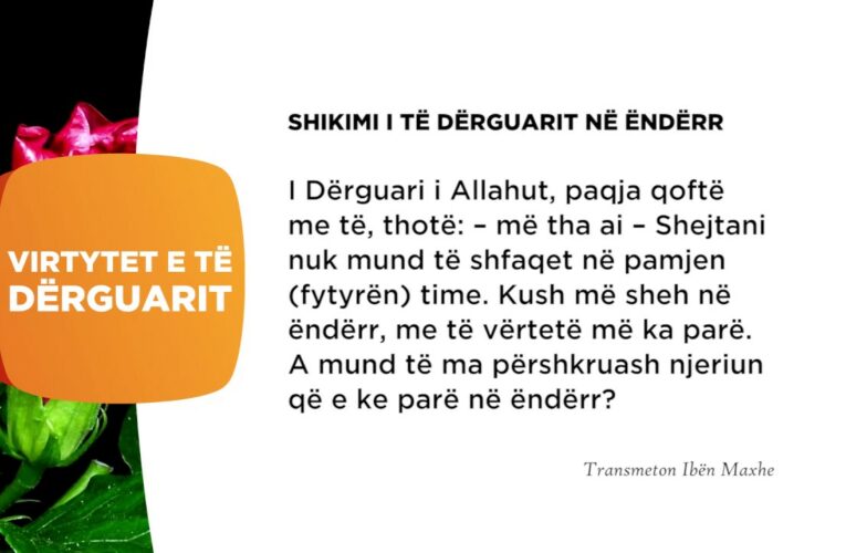 Shikimi i te Derguarit ne enderr 331