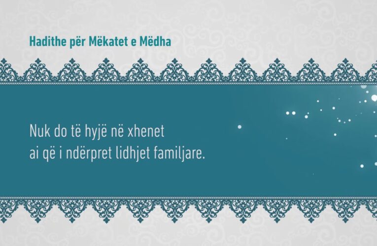 Mekatet e medha 328