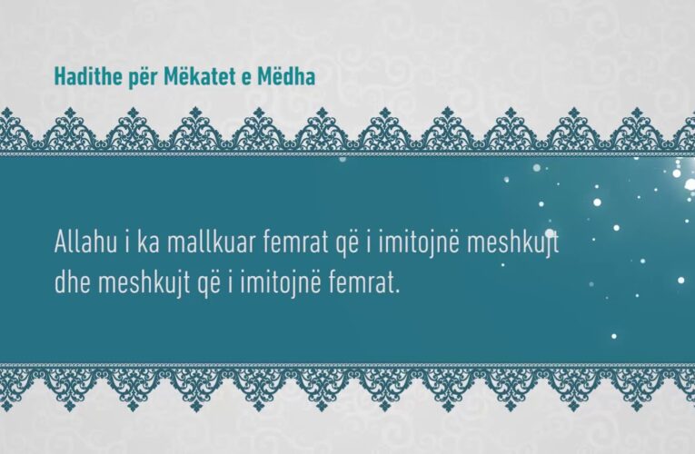 Mekatet e medha 320