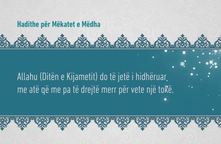 Mekatet e medha 325