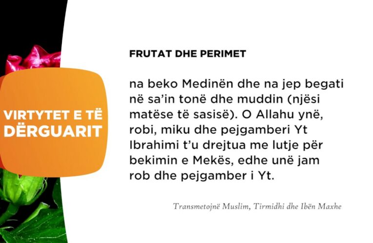 Frutat dhe perimet 162