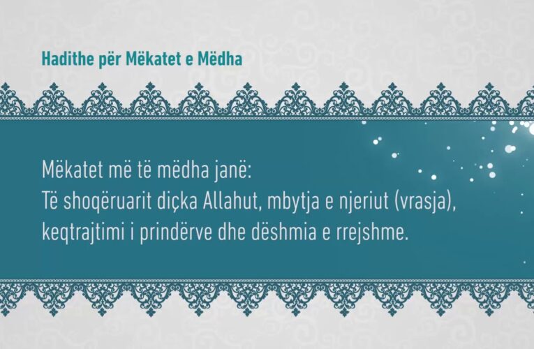 Mekatet e medha 299