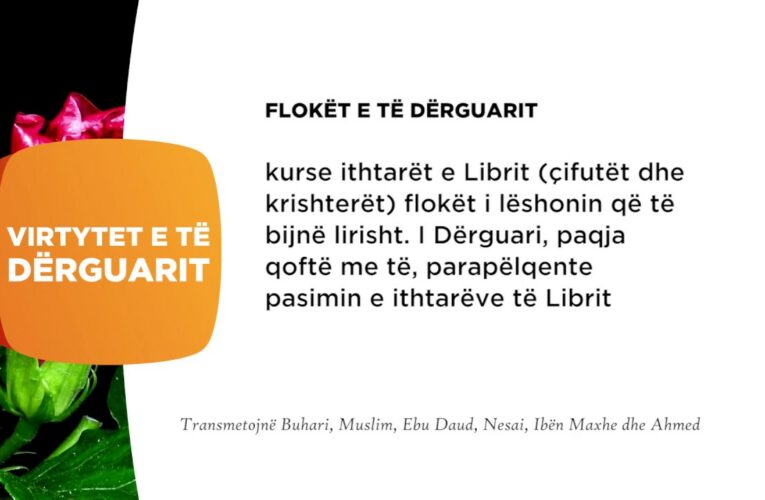 Floket e të Dërguarit 24