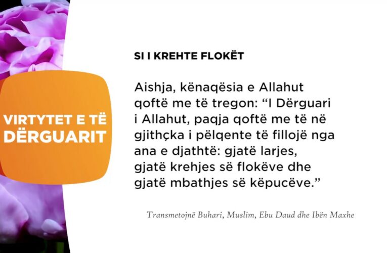 Si i krehte floket 26