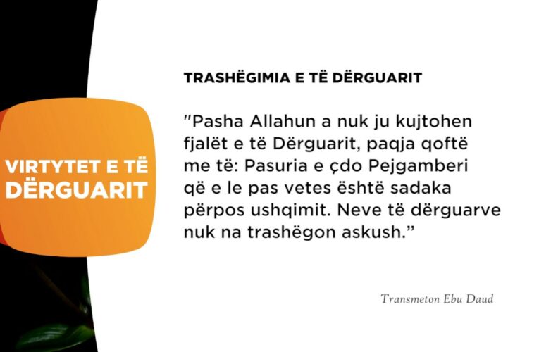 Trashegimia e te derguarit 322