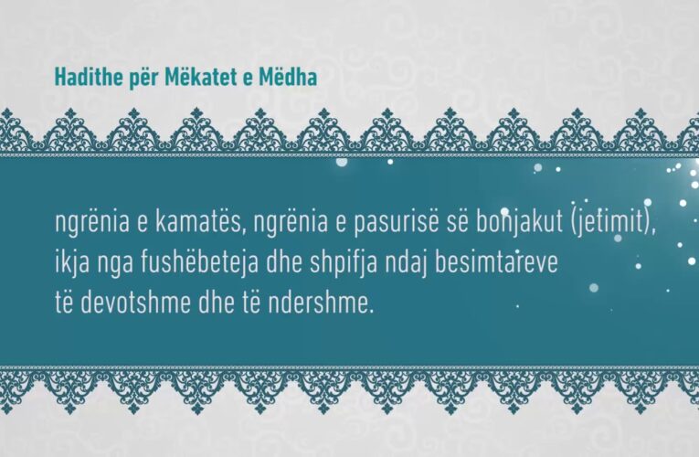 Mekatet e medha 301