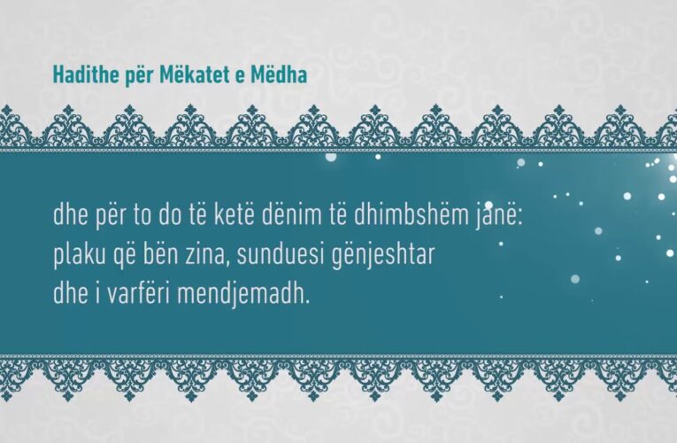 Mekatet e medha 310