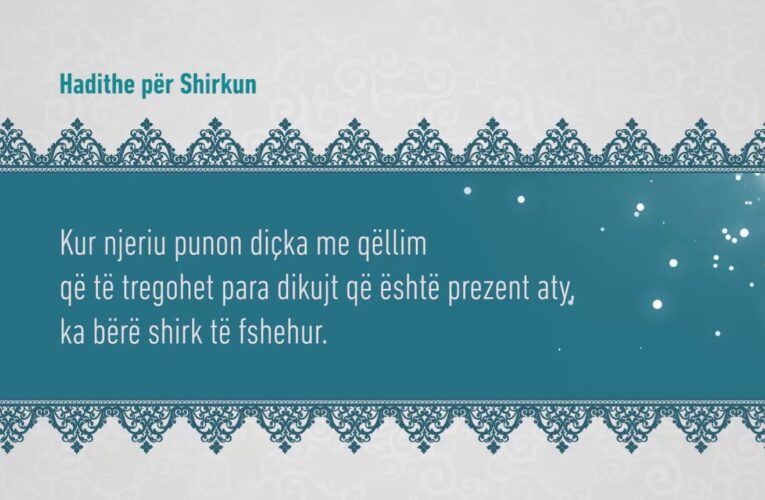 Shirku 294