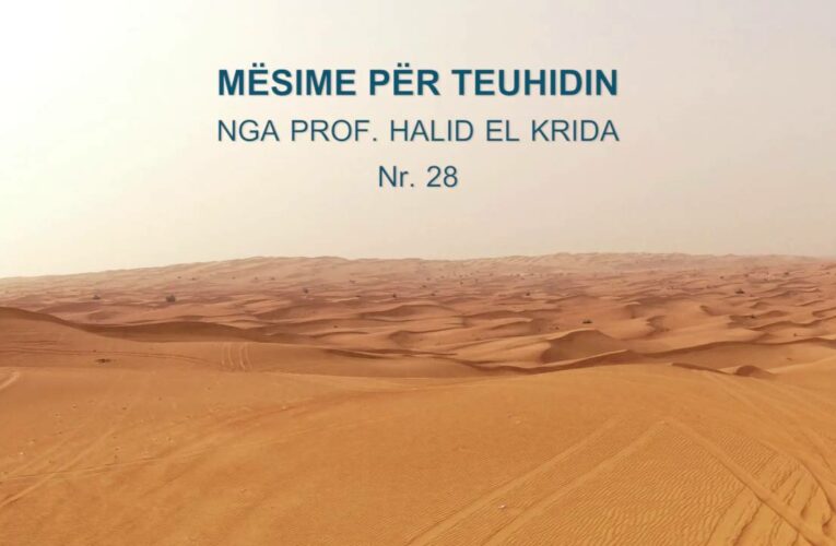 TEUHIDI 29 Prof. Halid El Krida