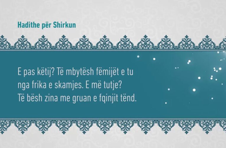 Shirku 293