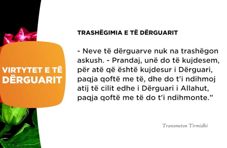 Trashegimia e te derguarit 321