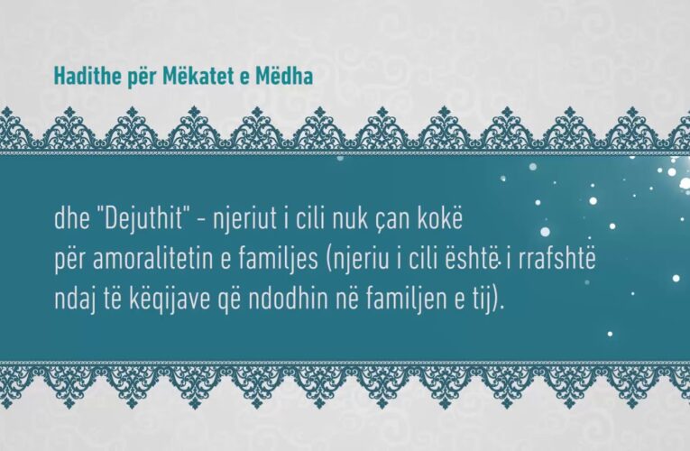 Mekatet e medha 308